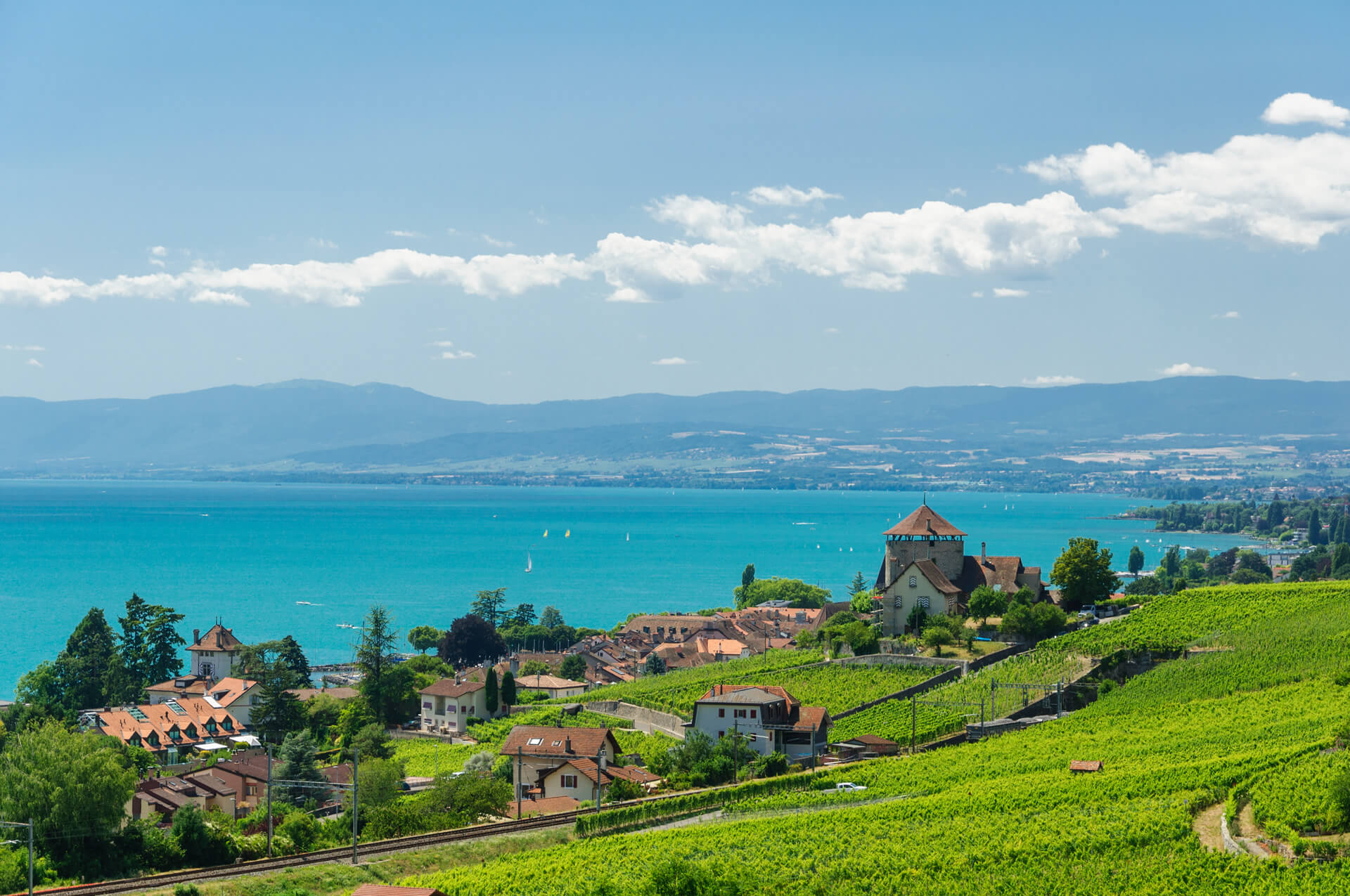 The Lavaux Vineyard Terraces UNESCO World Heritage Lausanne